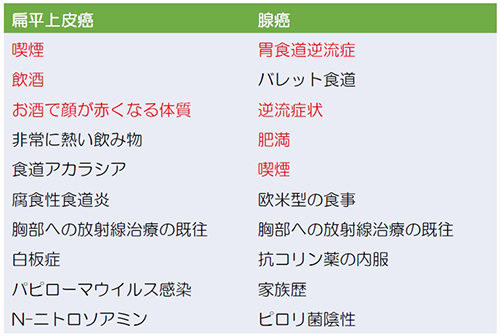 食道癌のリスクファクター 表1.食道癌のリスクファクター