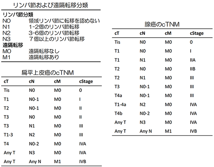 }T. UICC-AJCC TNMޑ8łɂXe[W