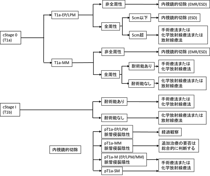 図6.表在食道癌の治療方針(食道癌診療ガイドライン2017年版)