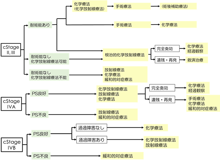 図7.進行食道癌の治療方針(食道癌診療ガイドライン2017年版)