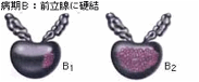 �a��B
