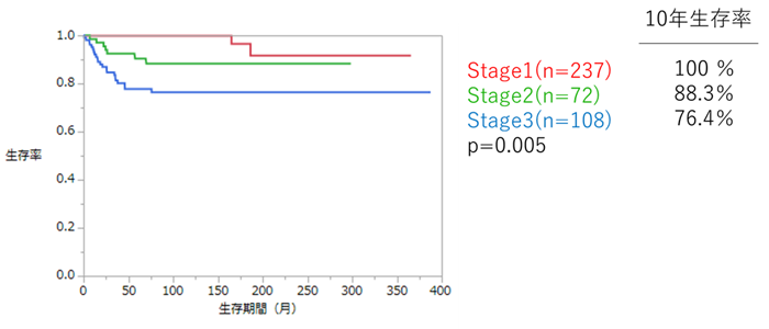 図8:精巣腫瘍ステージ別全生存率曲線