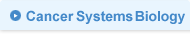 Cancer Systems Biology