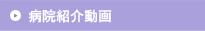 �p���t���b�g