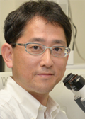 癌研究所 広田 亨