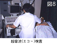 図8 超音波(エコー)検査