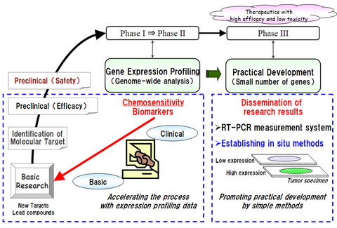 Cancer Drug Development with Gene Expression Profiling