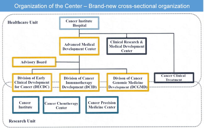 Organization of the Center – Brand-new cross-sectional organization -