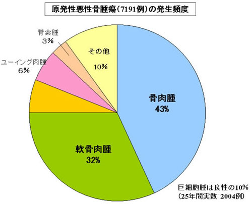 各骨軟部腫瘍 がんに関する情報 がん研有明病院