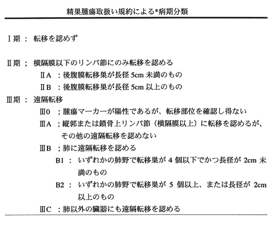 精巣がん がんに関する情報 がん研有明病院