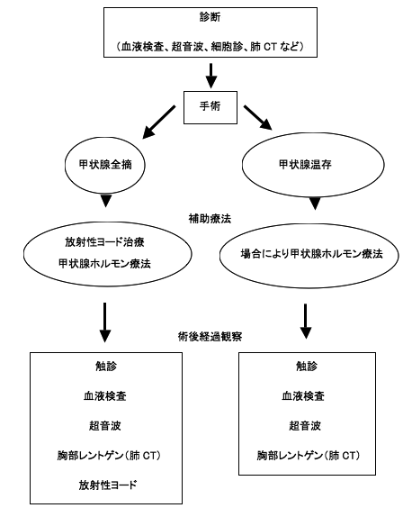 甲状腺がん がんに関する情報 がん研有明病院