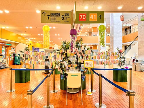 写真2