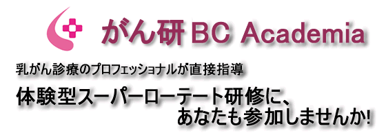 BC Academia