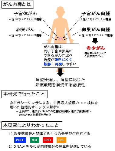 嚢腫 再発 卵巣 卵巣嚢腫（のう腫）の原因、種類 再発率は？卵巣癌につながるのはどれ？4種類の概要も解説｜アスクドクターズトピックス